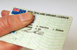 Screenshot 2026 02 09 at 17 09 12 How powerful is your driving licence overseas NZ Herald